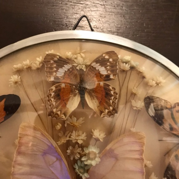 Vintage butterfly and dried flower wall hanging - Picture 3 of 8